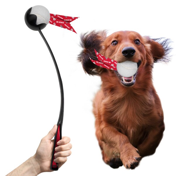 Pet Ball Launcher